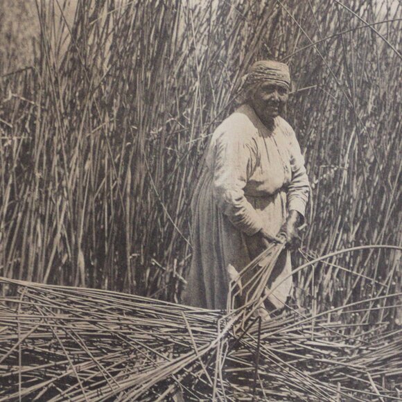 GATHERING TULES - LAKE POMO #150 Edward Sheriff Curtis Print - Picture 4 of 16